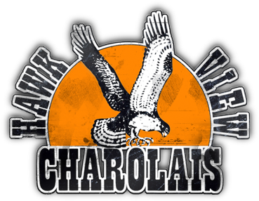 HAWK VIEW CHAROLAIS